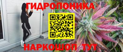 каннабис Нальчик