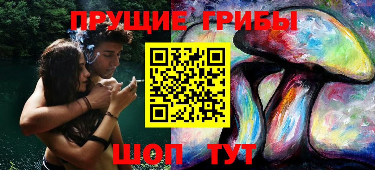 Галлюциногенные грибы Psilocybe Урай