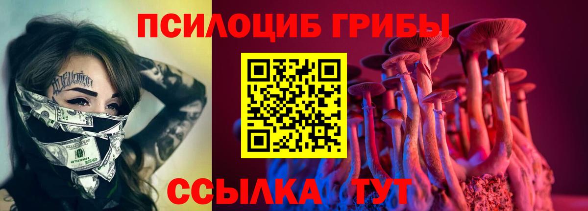 Урай  Псилоцибиновые грибы Psilocybine cubensis  Вход с VPN 